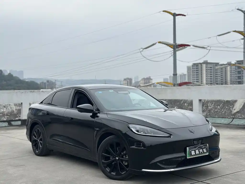 ARCFOX EXTREME FOX POLAR FOX ALPHA S