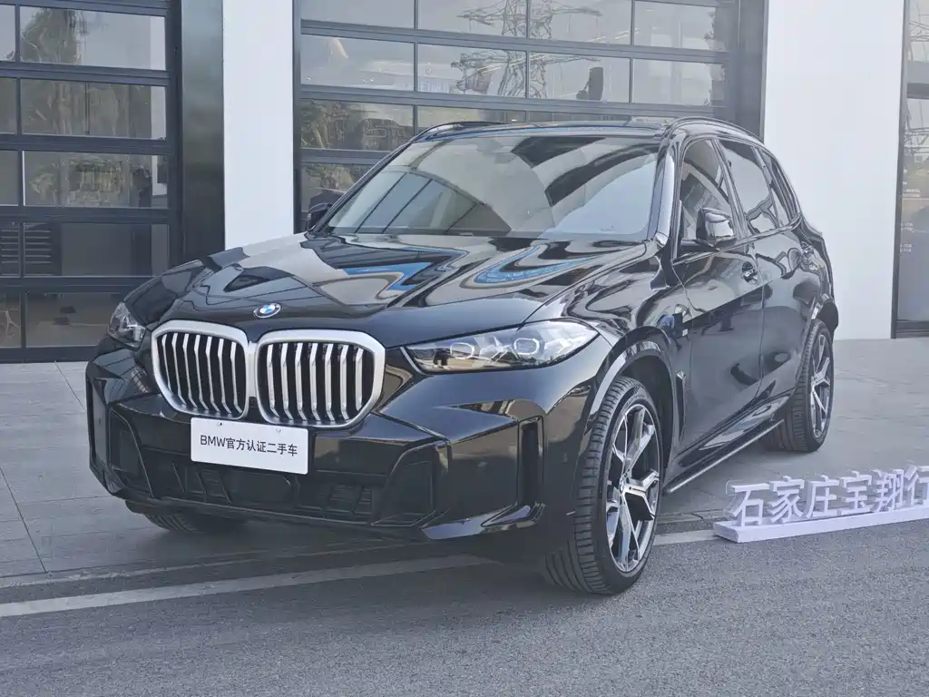 BMW X5 — миниатюра 2