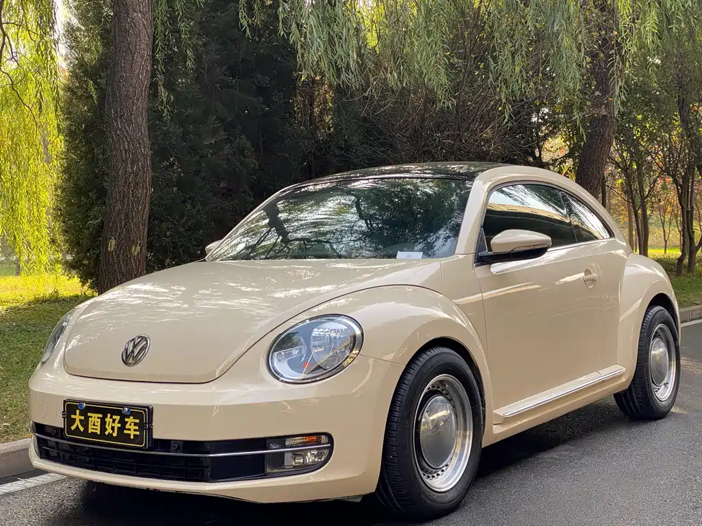 Volkswagen Beetle 2013
