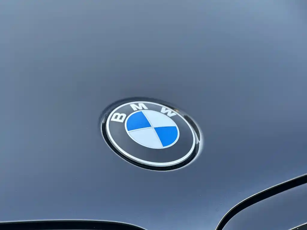 BMW X5 — миниатюра 4