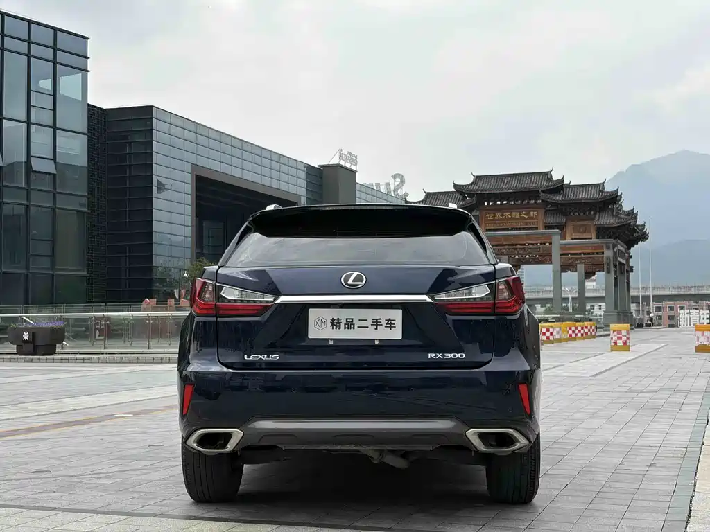 Lexus RX 2020 300 Elite VI