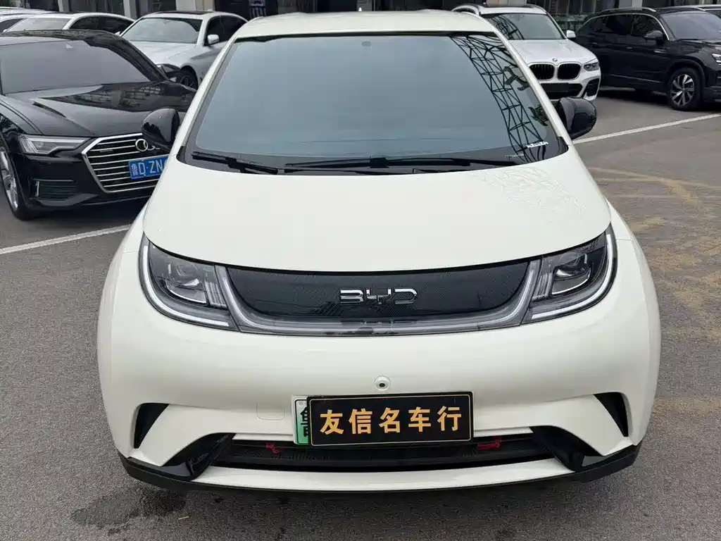 BYD Dolphin 2025 420km Freedom