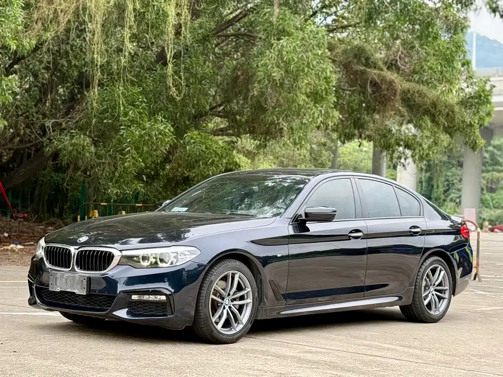 BMW 5 Series (Import) 2019