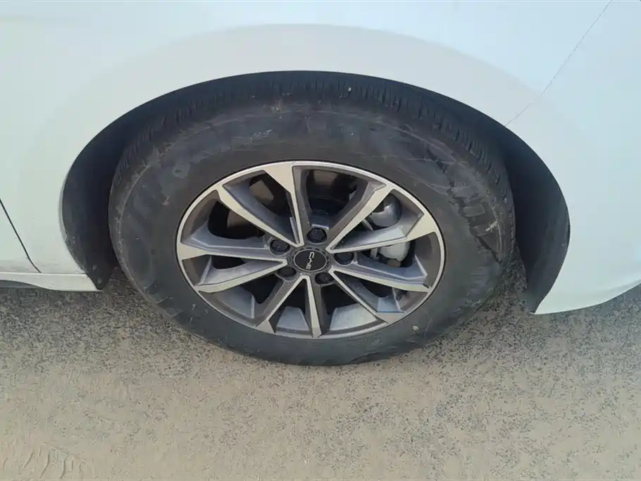 BYD Destroyer 05 2024 DM-i 55KM Luxury