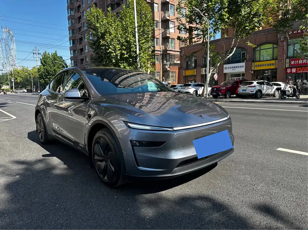 Tesla Model Y — миниатюра 3