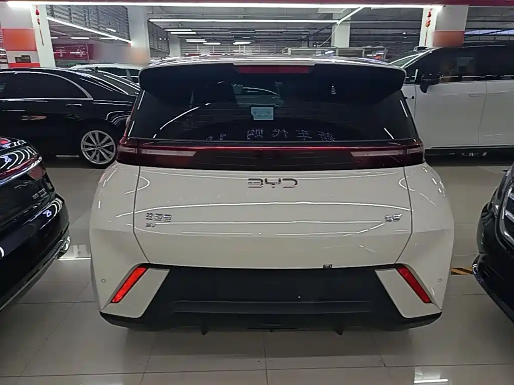 BYD Seagull 2024 305km Freedom
