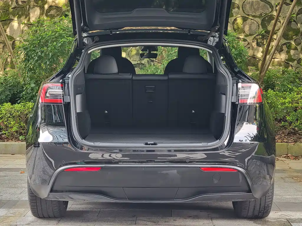 Tesla Model Y — миниатюра 18