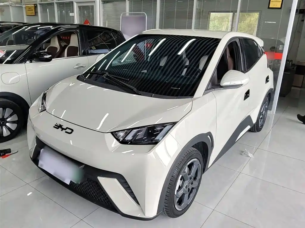 Byd Seagull 2024