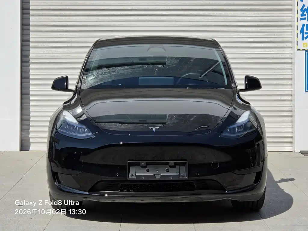 Tesla Model Y — миниатюра 2