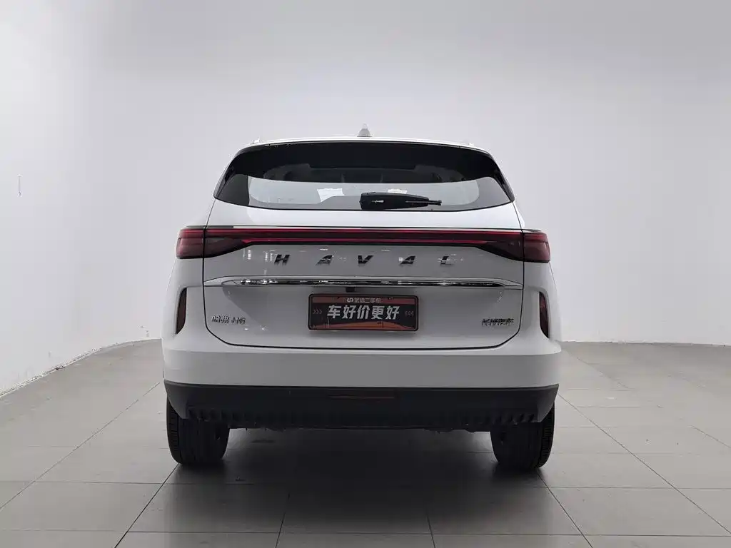 Haval H6 — миниатюра 4