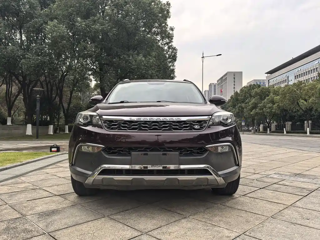 CHEETAH CARS CHEETAH CS10