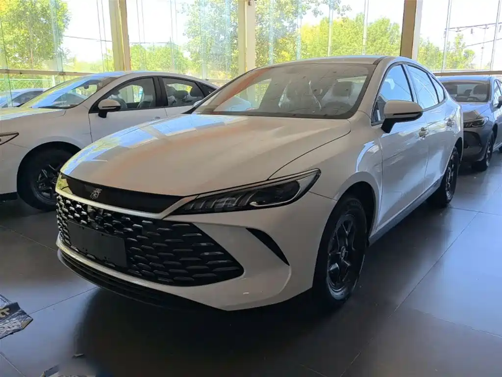 Byd Qin PLUS 2026