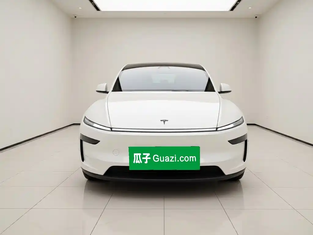 Tesla Model Y — миниатюра 2