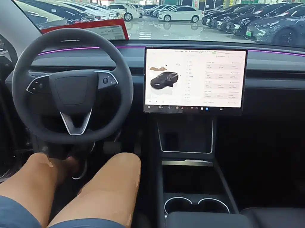 Tesla Model Y — миниатюра 10