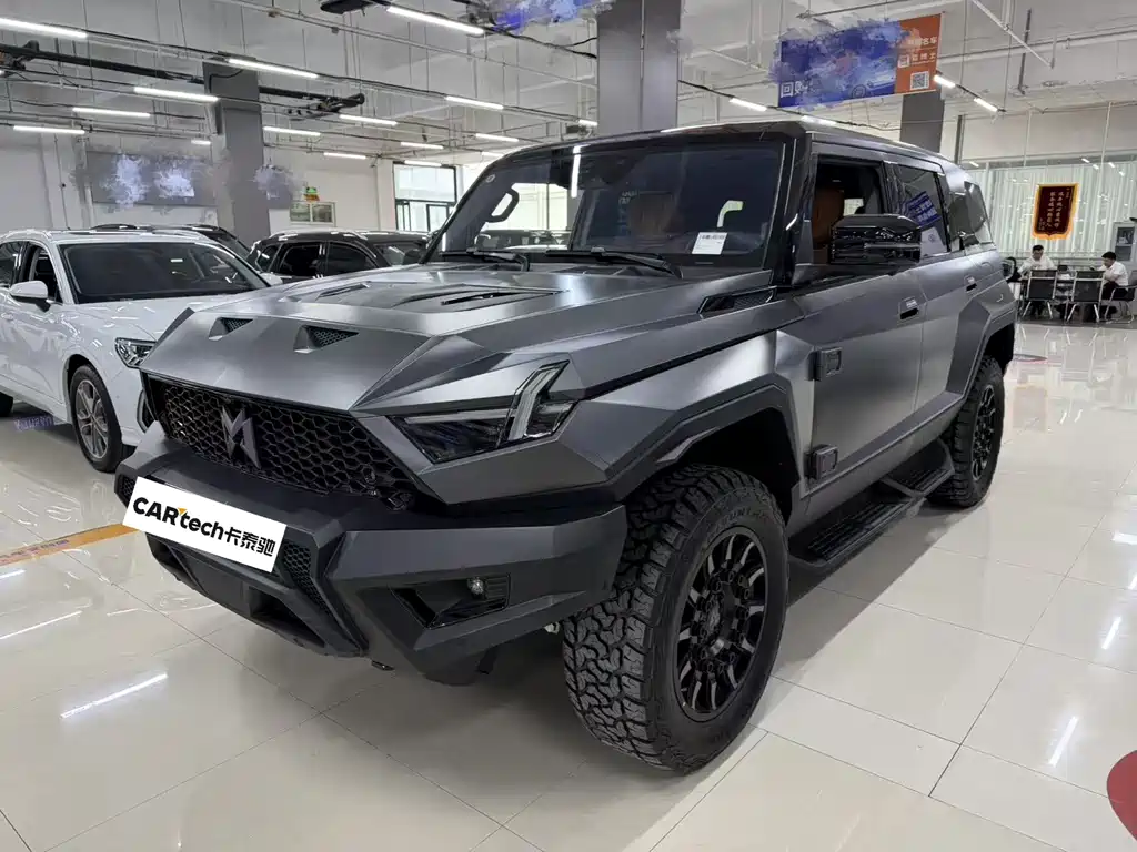 Mengshi Mengshi 917 2026