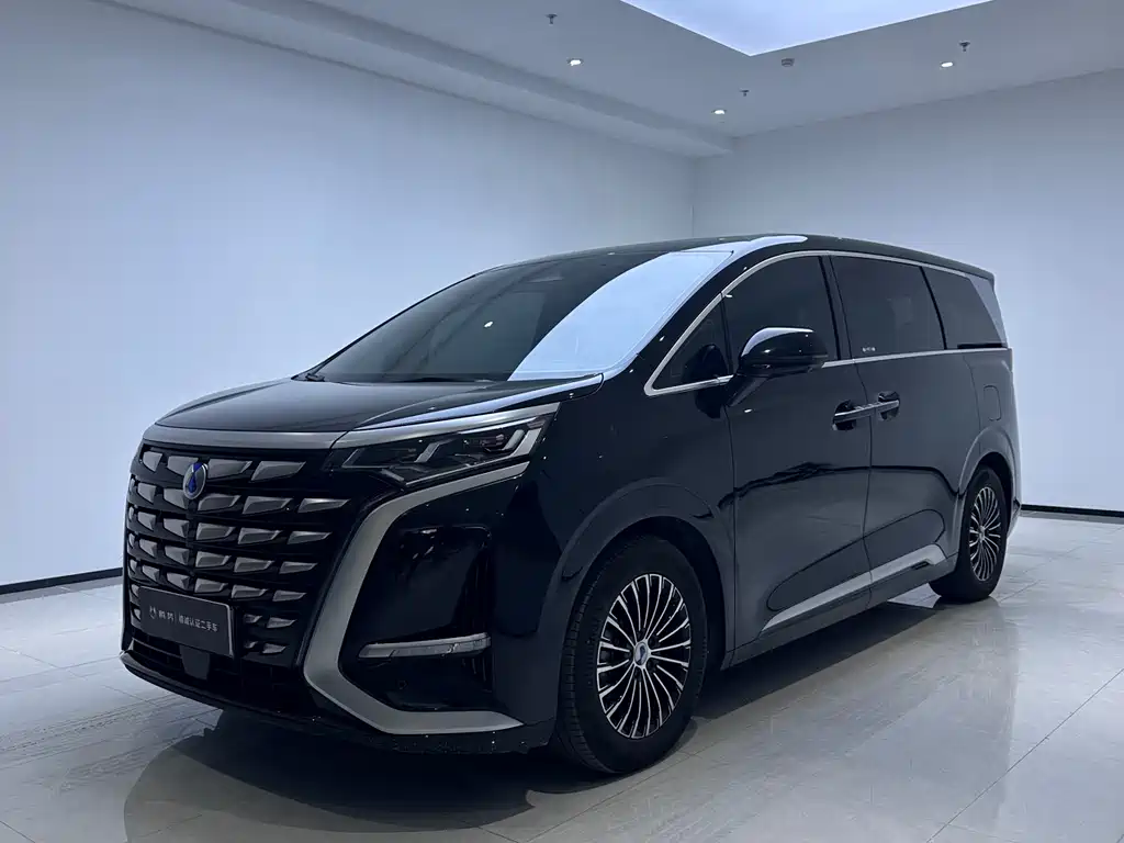 2023 Denza D9 - zdjęcie 1 z 13