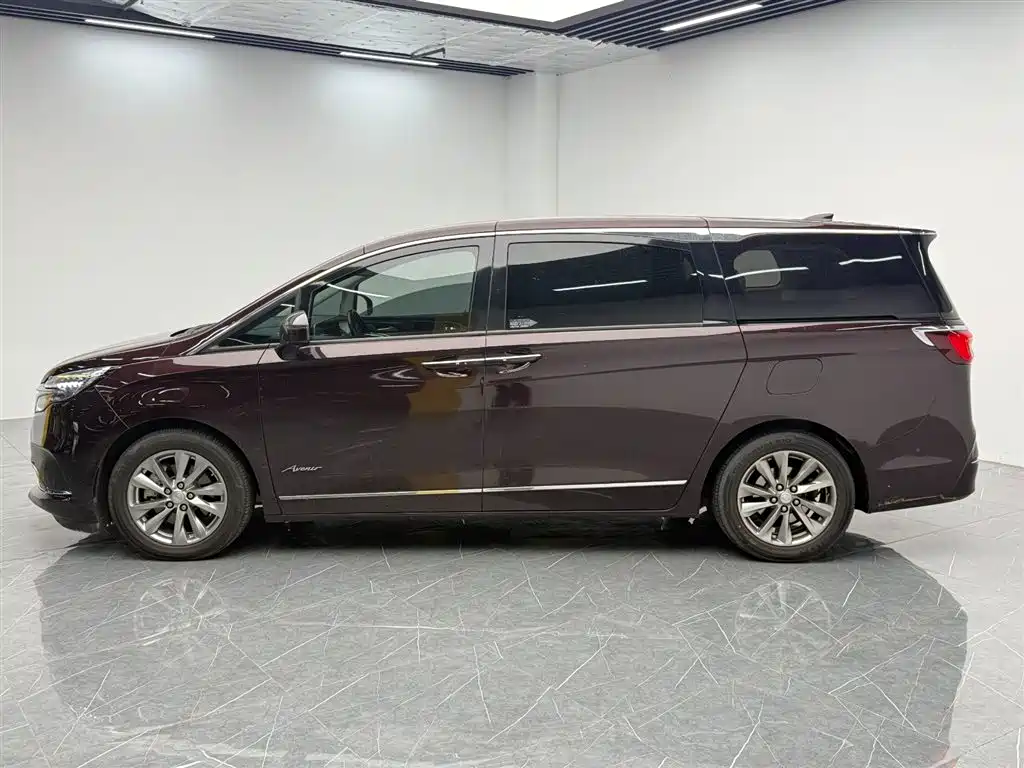 Buick GL8 2020 Avenir мест