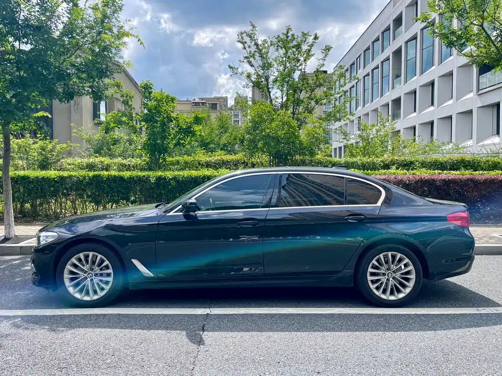 BMW 5 Series 5 2019 530Li Lead Luxury