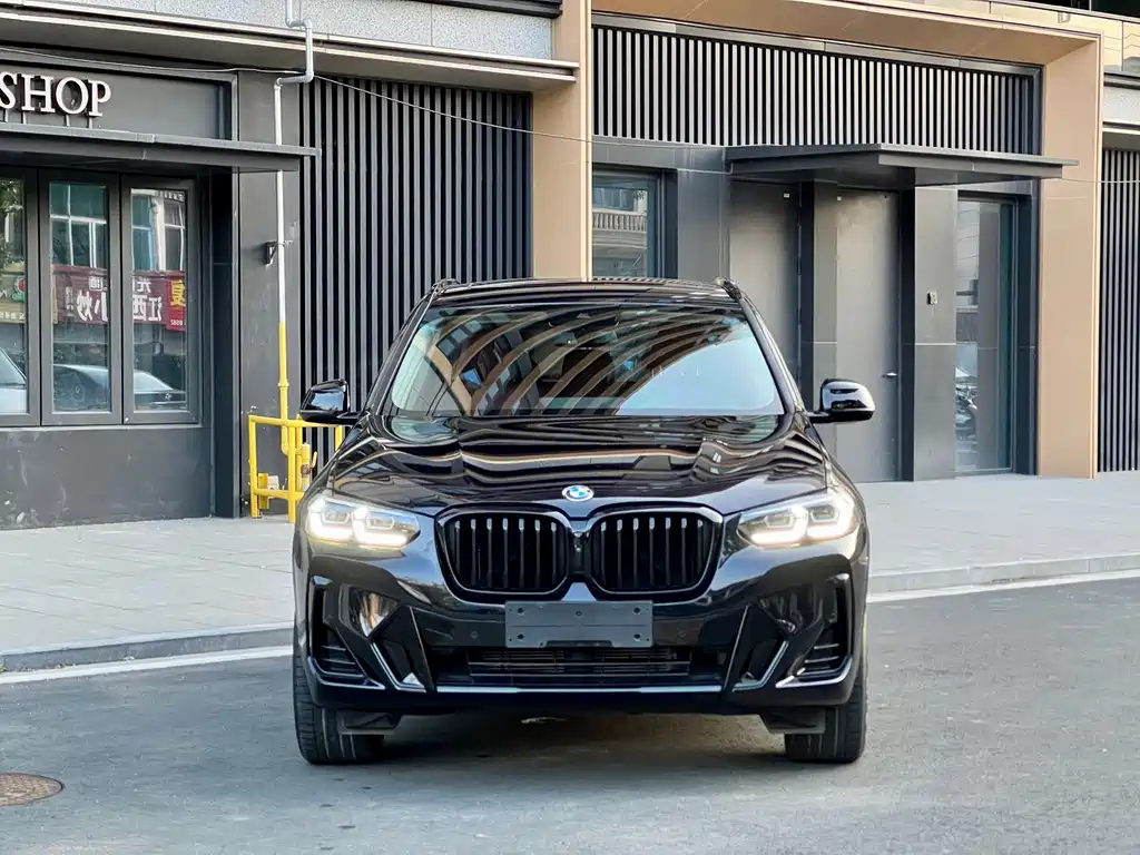 BMW X3 — миниатюра 2