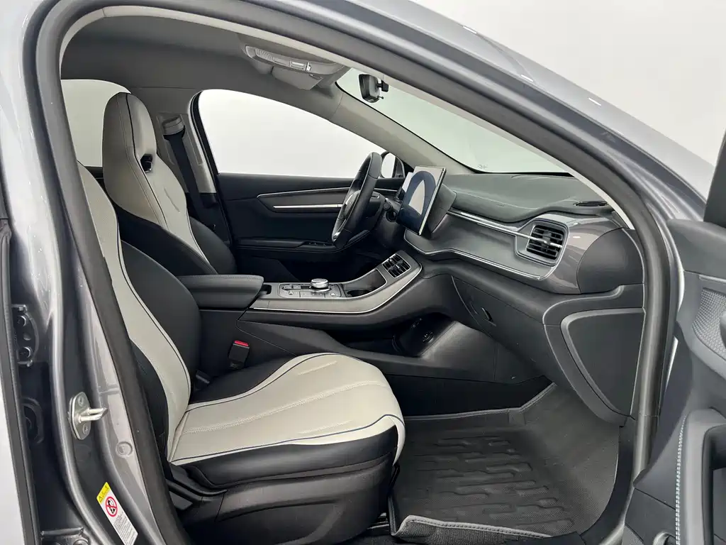 BYD Destroyer 05 2024 DM-i 55KM Luxury