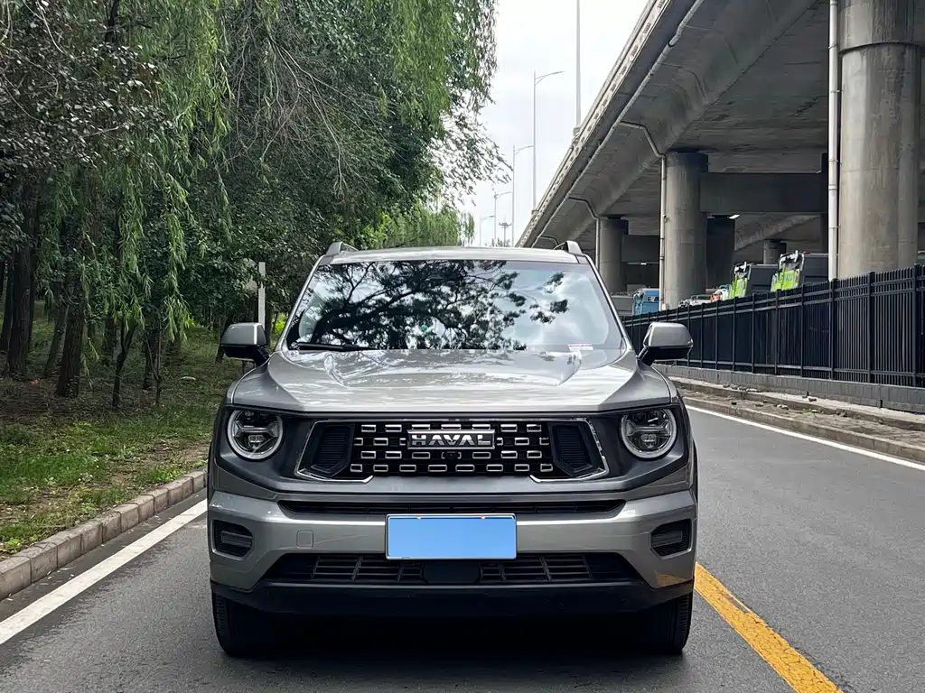Купить Haval 哈弗大狗 PLUS