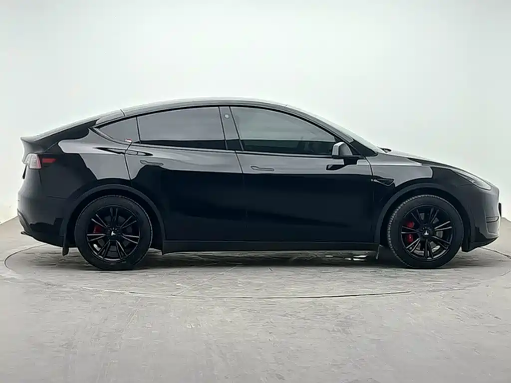 Tesla Model Y — миниатюра 3