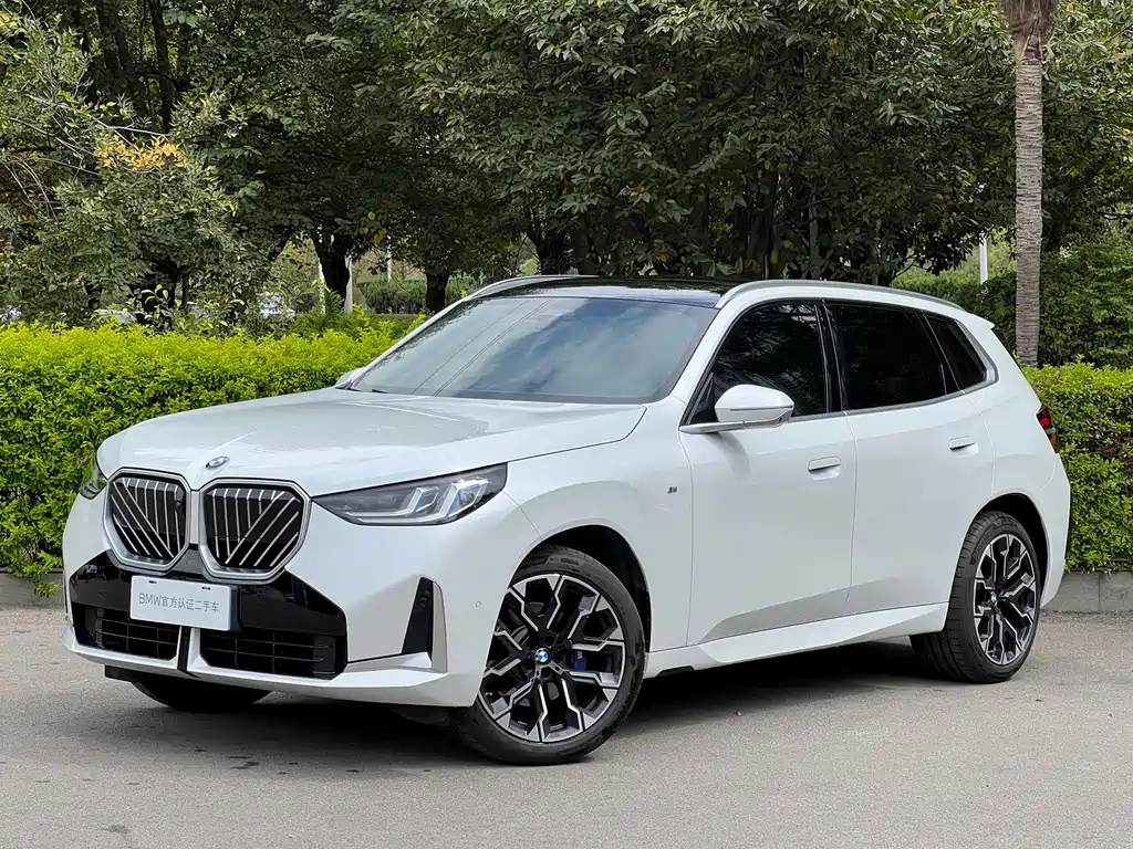 BMW X3 — миниатюра 9