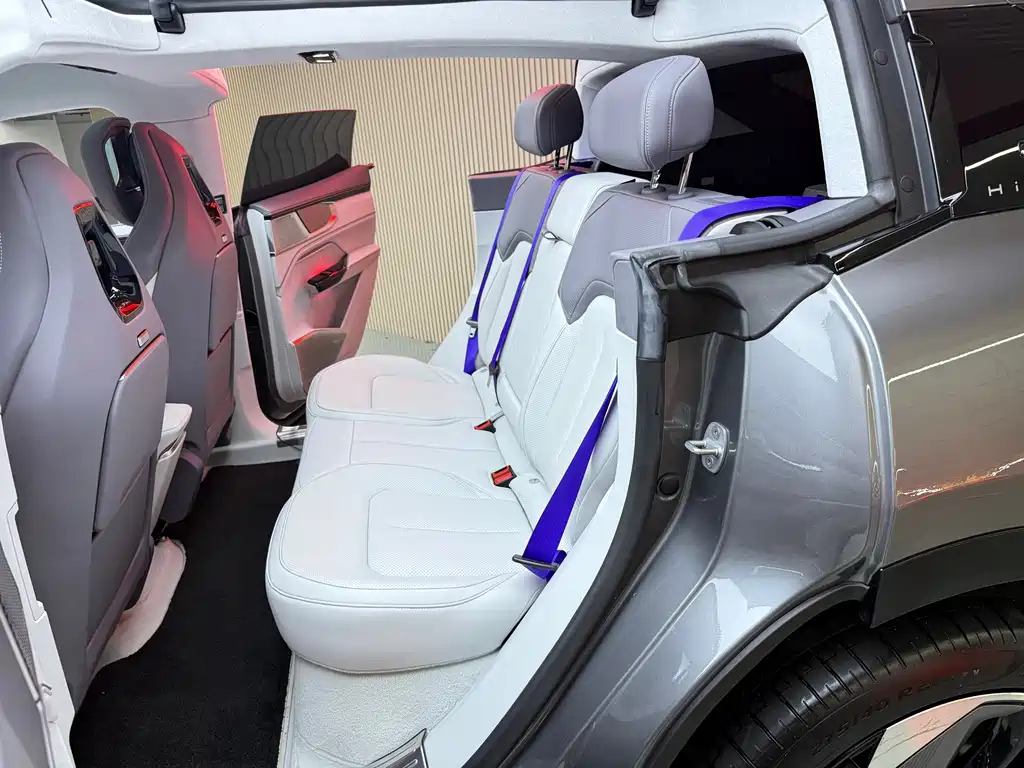 HiPhi HiPhi Y 2023 560km Elite