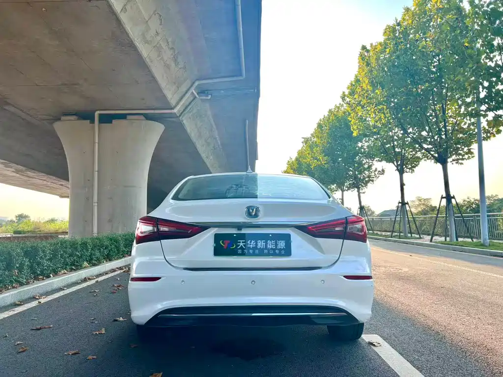 CHANGAN YIDONG NEW ENERGY