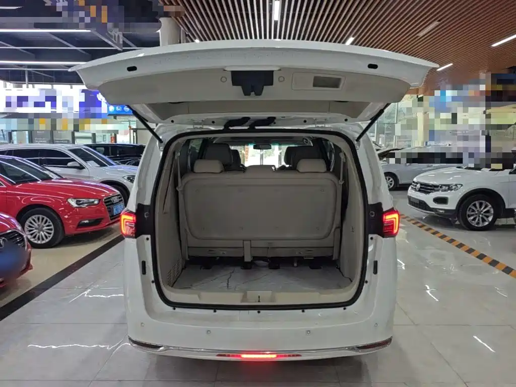 Buick GL8 — миниатюра 18