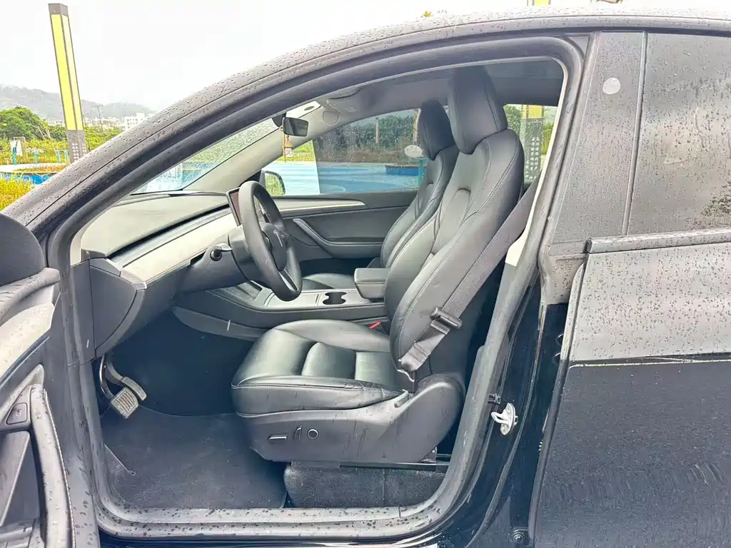 Tesla Model Y — миниатюра 7