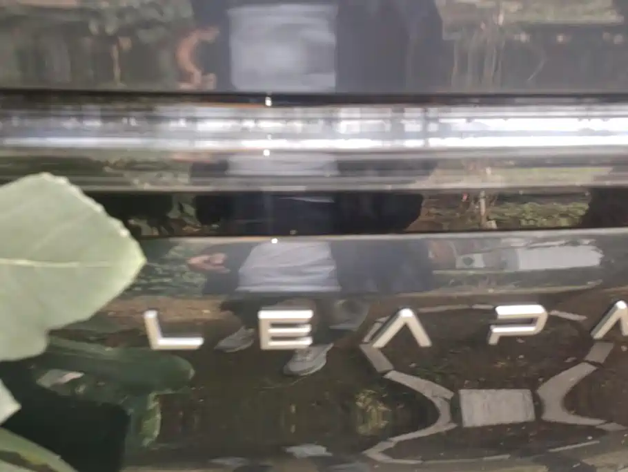 Leapmotor Leapmotor C10 — миниатюра 4