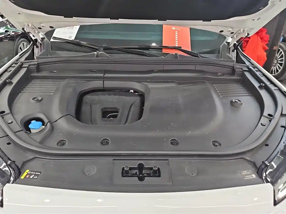 WEI PAI WEI BRAND BLUE MOUNTAIN