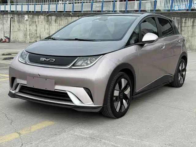 2023 BYD Dolphin