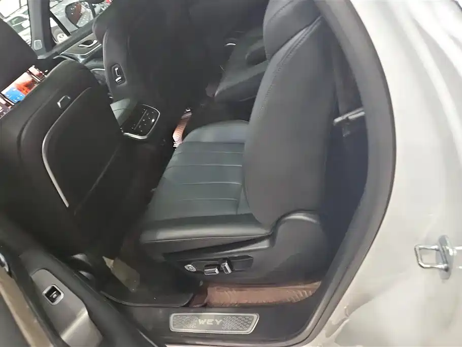 WEI PAI WEI BRAND BLUE MOUNTAIN