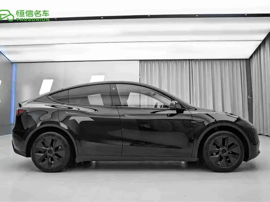 Tesla Model Y — миниатюра 4