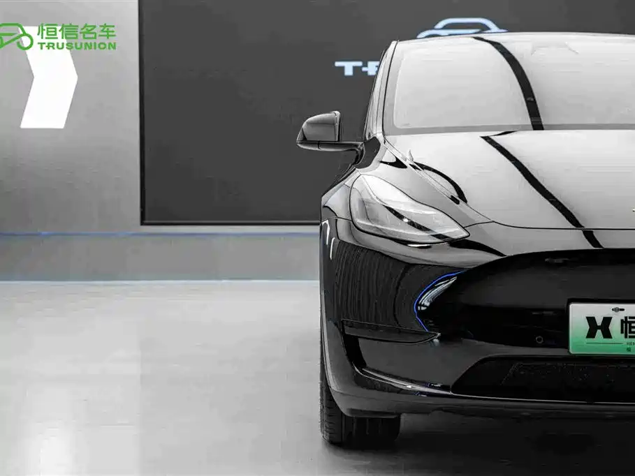 Tesla Model Y — миниатюра 8
