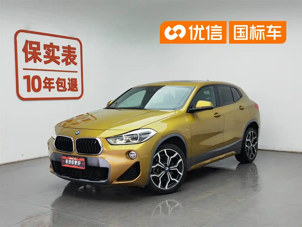 BMW X2 2018 sDrive25i Luxury M V