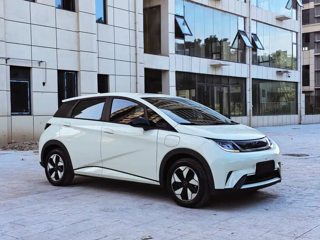 BYD Dolphin 2025 420km Freedom