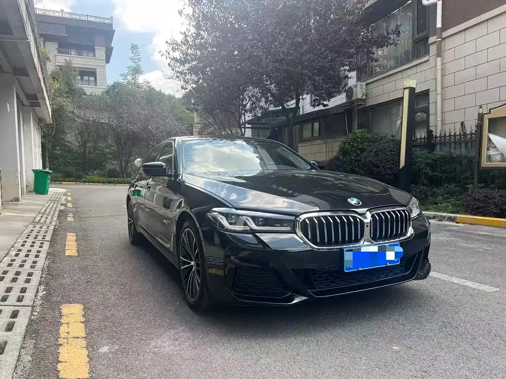 BMW 5 Series — миниатюра 3