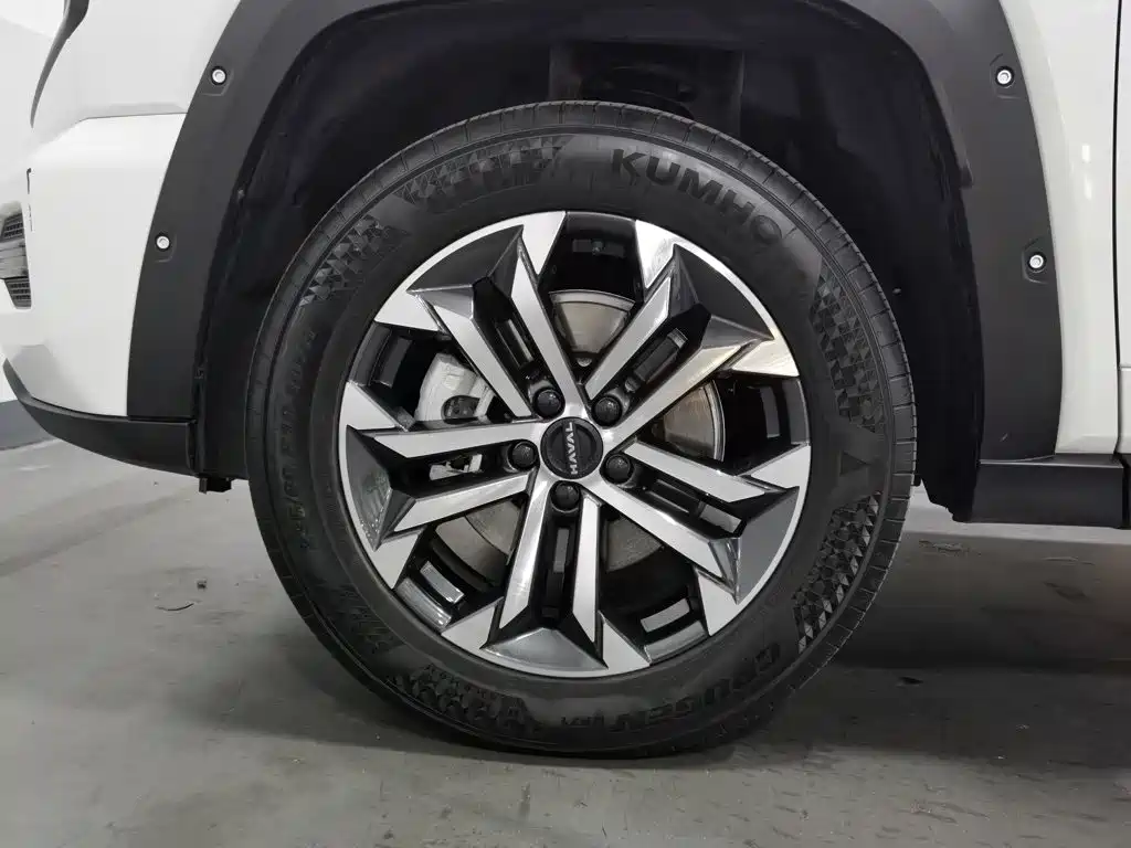 Haval Big Dog PLUS — миниатюра 17