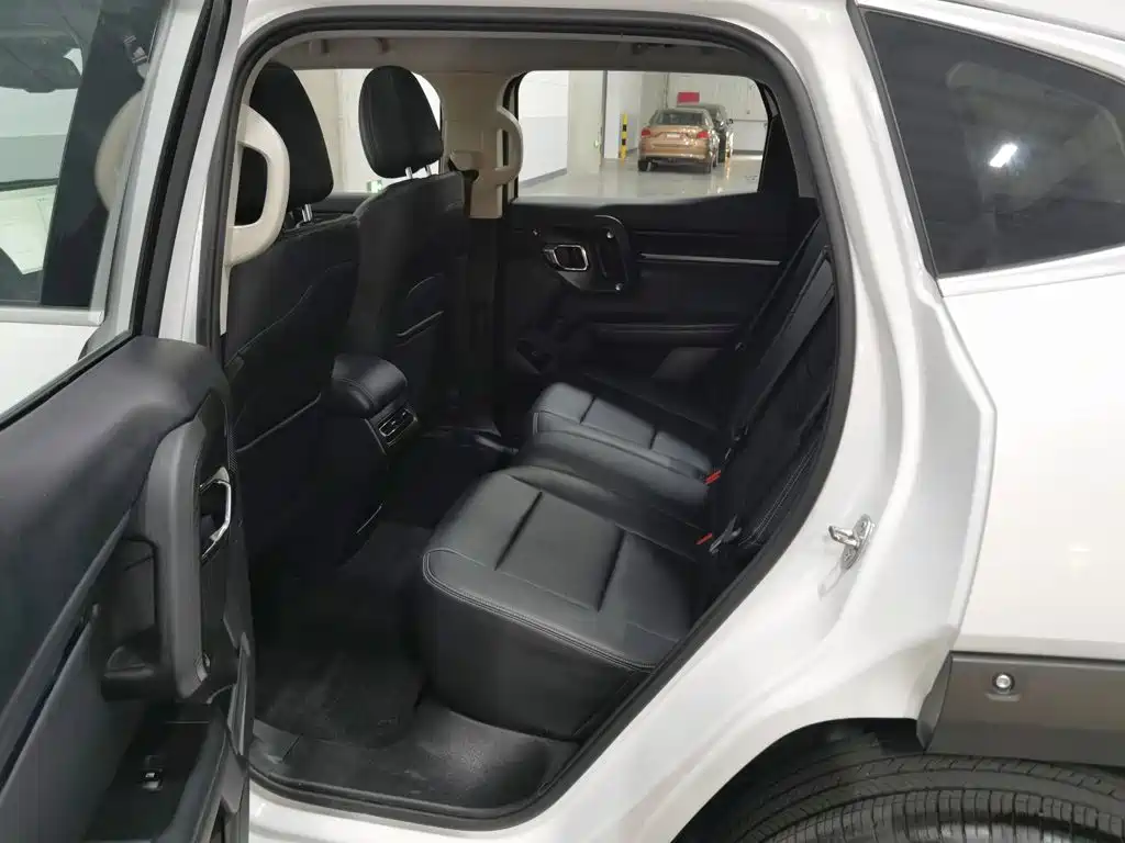 Haval Big Dog PLUS — миниатюра 15