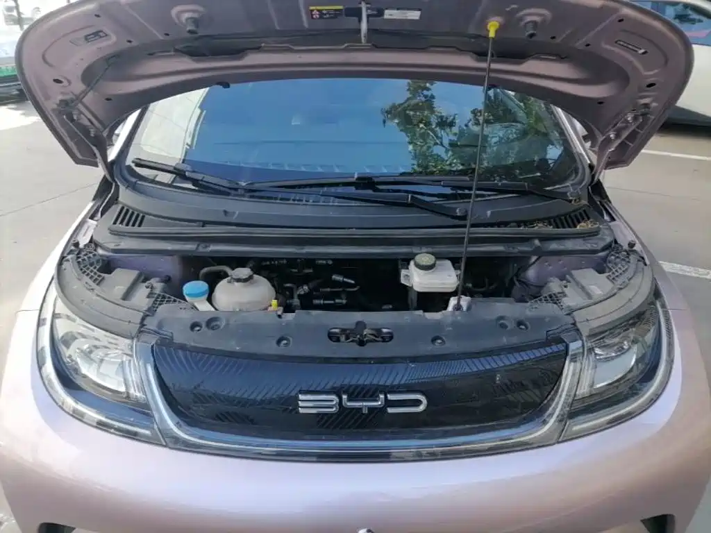 BYD Dolphin — миниатюра 20