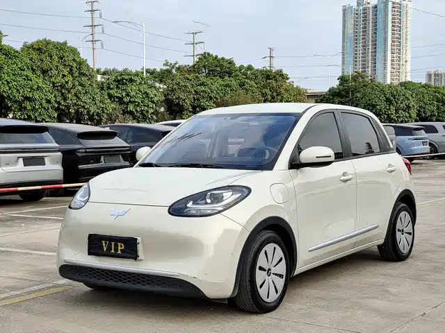 WULING WULING BINGGUO 2024