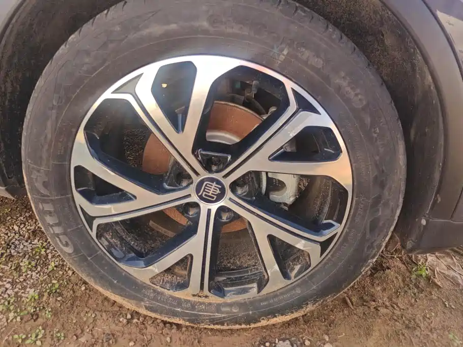 BYD Tang New Energy — миниатюра 6