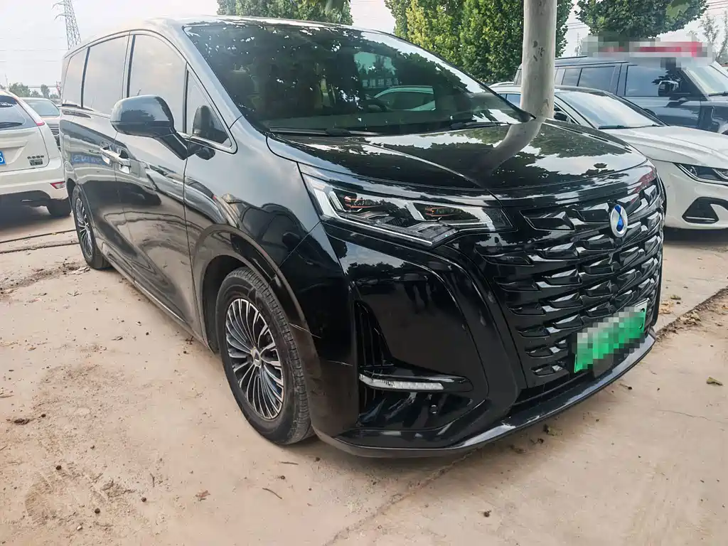 Denza Denza D9 — миниатюра 3