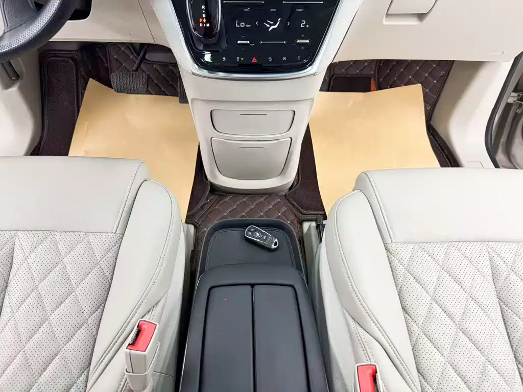 Buick GL8 — миниатюра 19