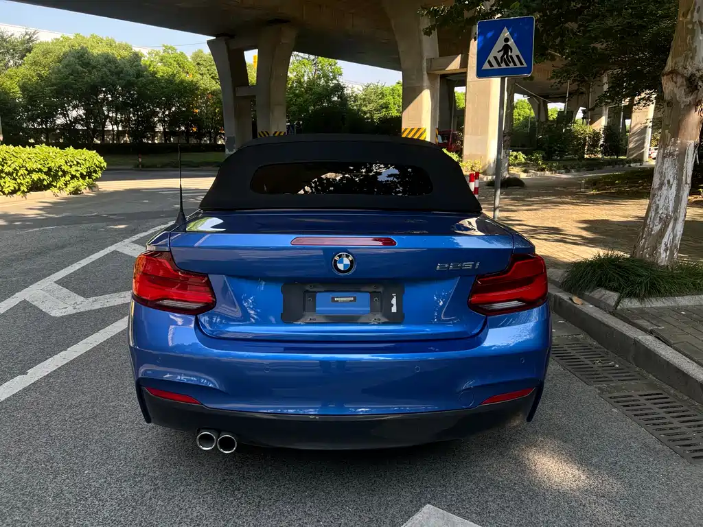 BMW 2 Series 2 2018 225i Premium M Sport