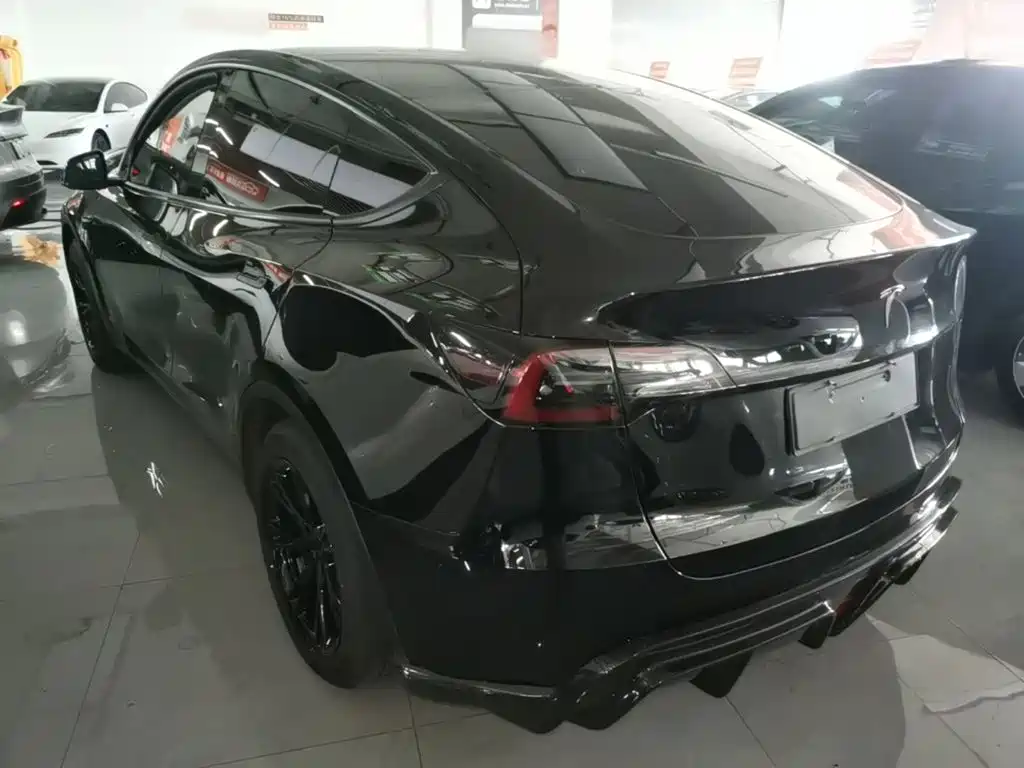 Tesla Model Y — миниатюра 5