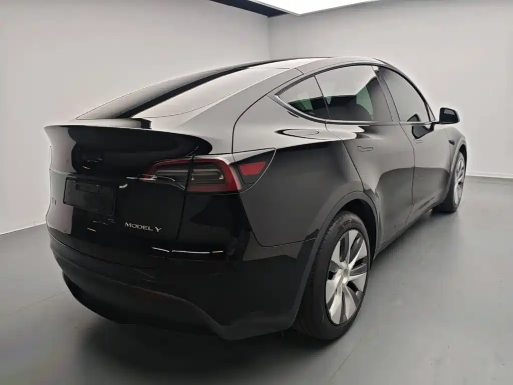Tesla Model Y — миниатюра 7